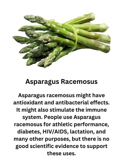 Asparagus Racemosus