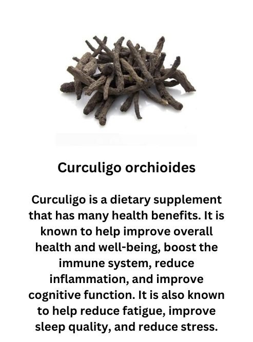 Curculigo orchioides