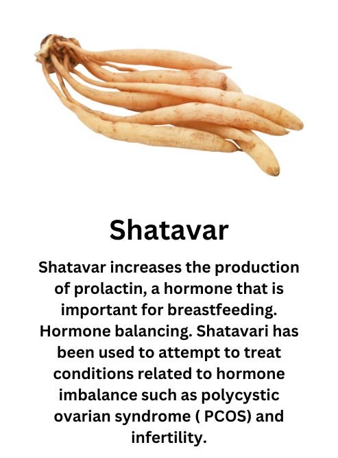 Shatavar