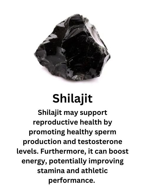Shilajit